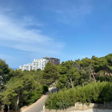 Albani Daire Shëngjin