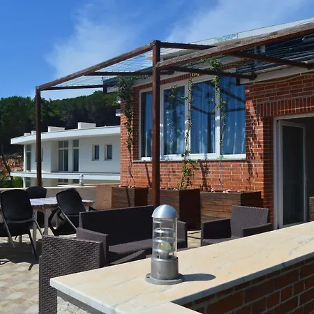 Apartment Albani