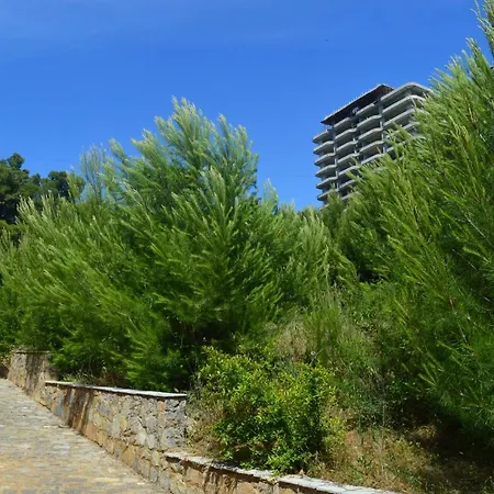 Albani Apartmán